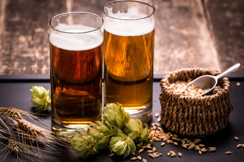 Bia thủ công the pilot – hương vị khác biệt trên cơ sở sản xuất đặc biệt